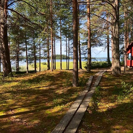 Luontohotelli Sapson Helmi Sotkamo Zewnętrze zdjęcie