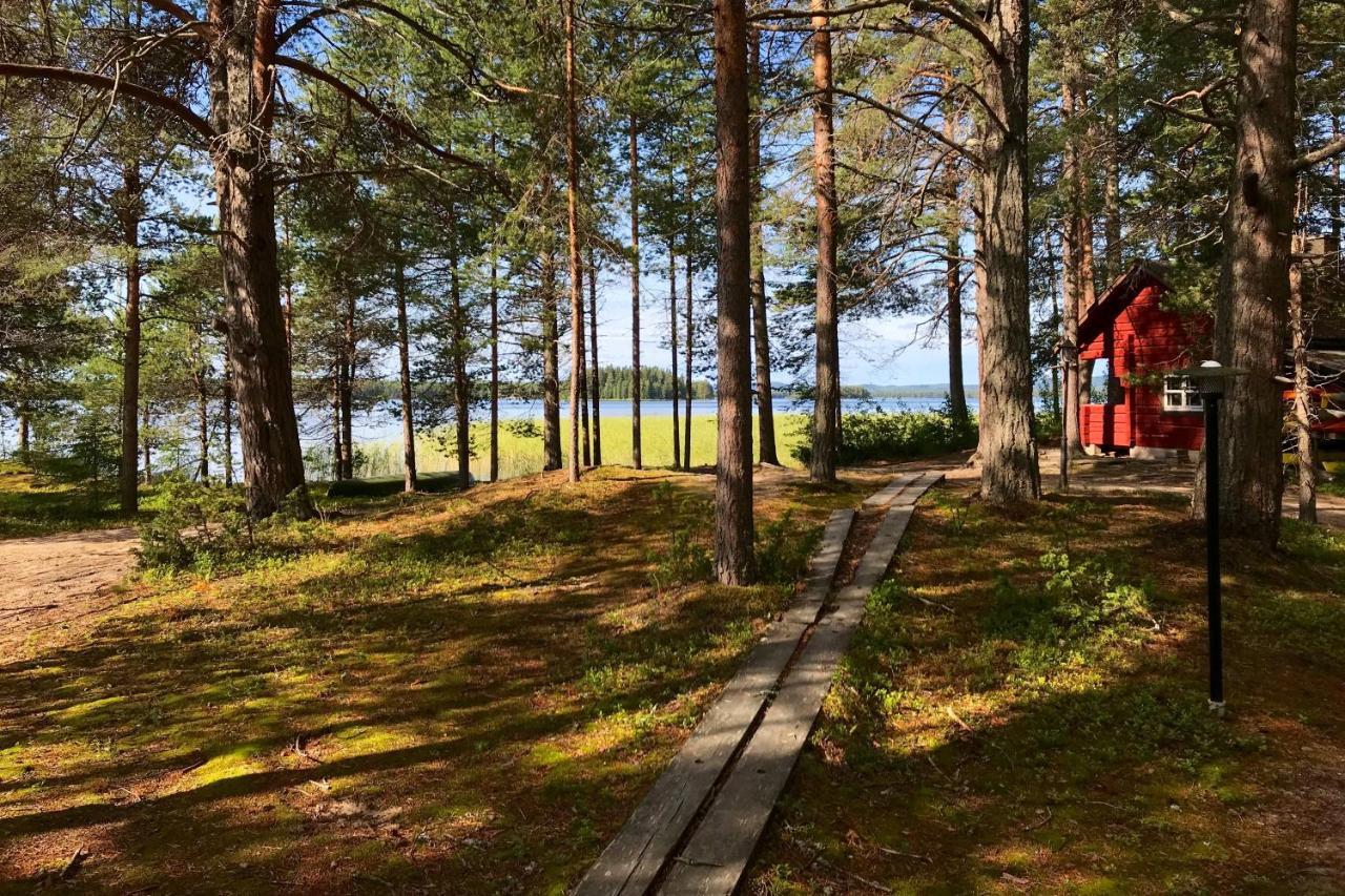 Luontohotelli Sapson Helmi Sotkamo Zewnętrze zdjęcie