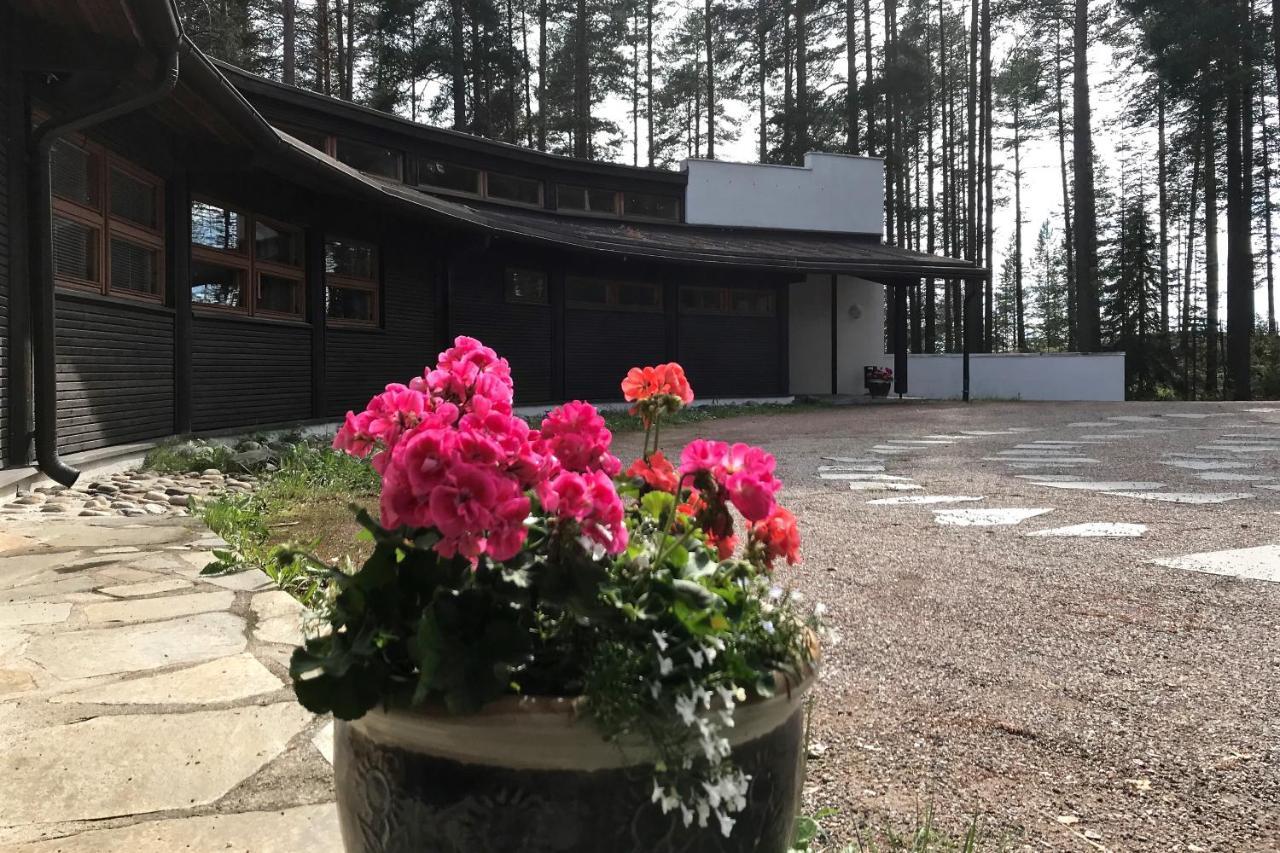 Luontohotelli Sapson Helmi Sotkamo Zewnętrze zdjęcie